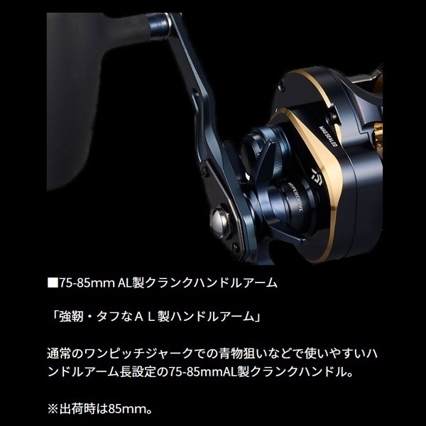 25ソルティガ